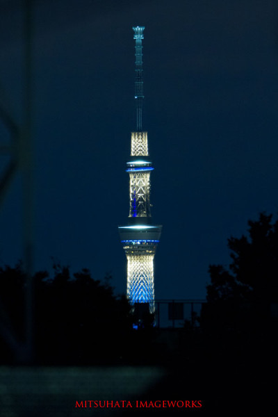 EOS-7D 300mmF2.8IS EX2